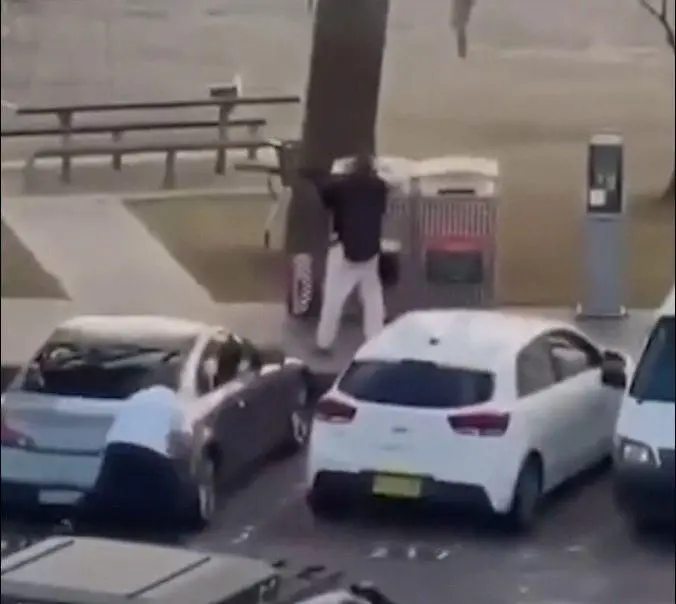 Bondi Beach Shooting: Elderly Couple Tried to Disarm Gunman Before Being Killed, Dashcam Footage Reveals